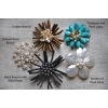 brooches